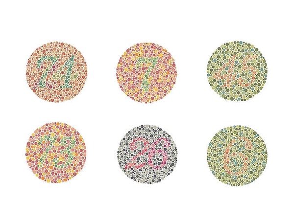 1. Первый вопрос. Какие числа вы видите на картинке?