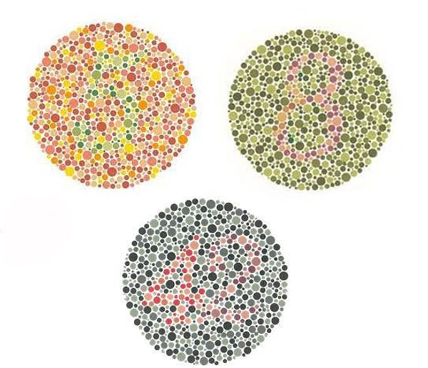 7. Какие числа вы видите внутри кругов?