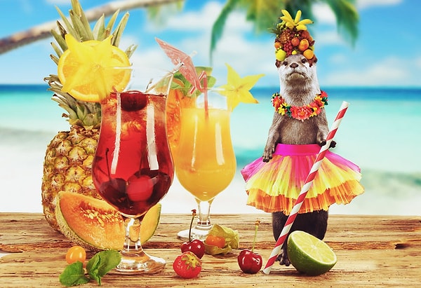 6. Привет с Гавайев