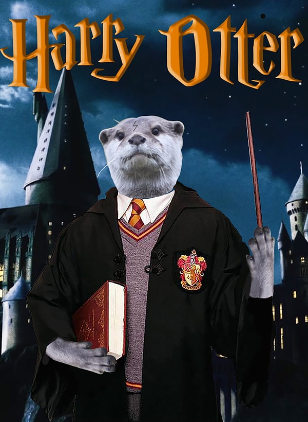 2. Гарри Выдроттер