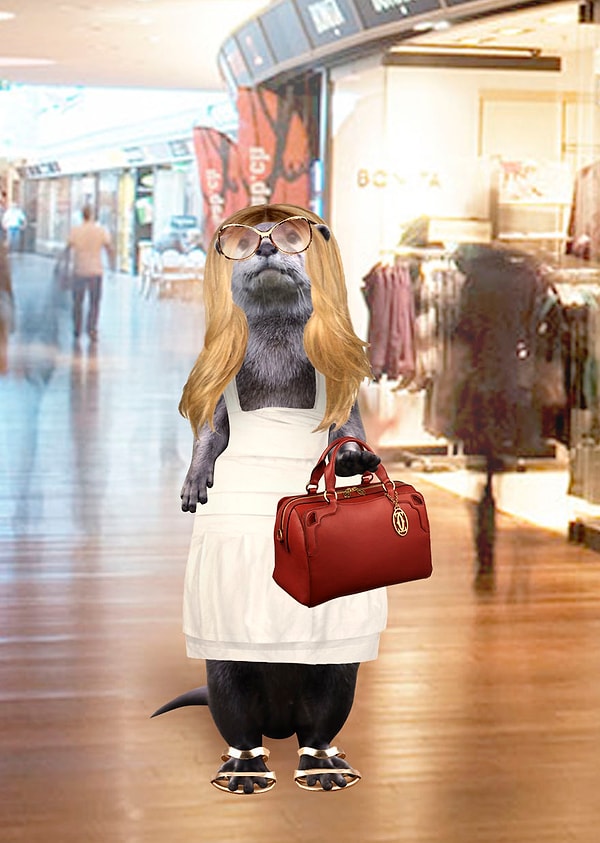 15. Выдра тоже любит модно приодеться