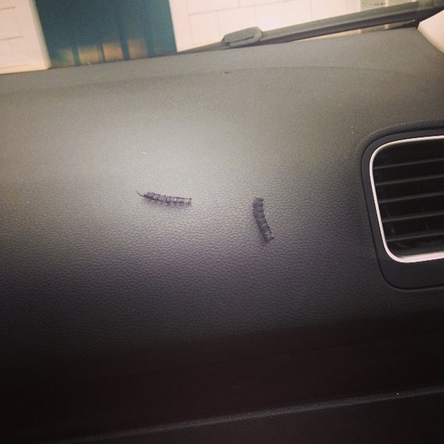 13. Prepare to see fake eyelashes in the weirdest places.