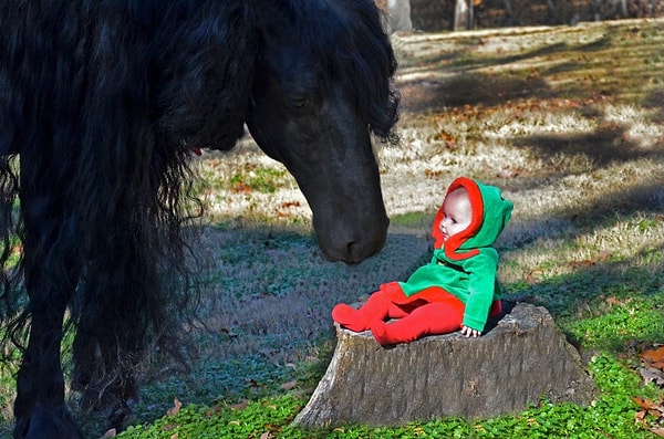 4. Хозяева специально выбрали именно такого коня.