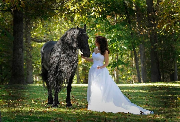 10. Сходство на лицо :) Тем более что конь не только красив, но и очень фотогеничен.