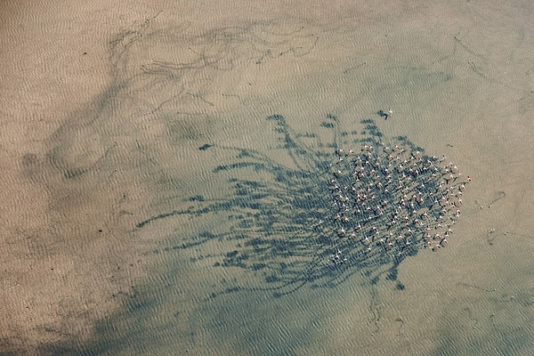 20. Barbara Dall'Angelo