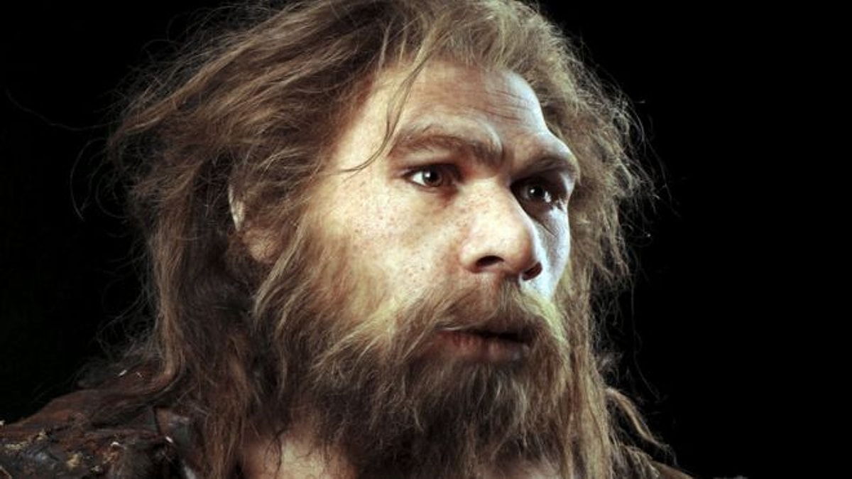 Homo sapiens. Хомо сапиенс неандерталенсис. Неандерталец (homo sapiens Neanderthalensis).