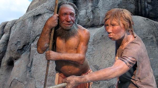 Neandertal’lerin bilişsel yeteneklerine dair bulgular var, fakat yerleşim kurma yeteneklerine dair bir kanıt yok.