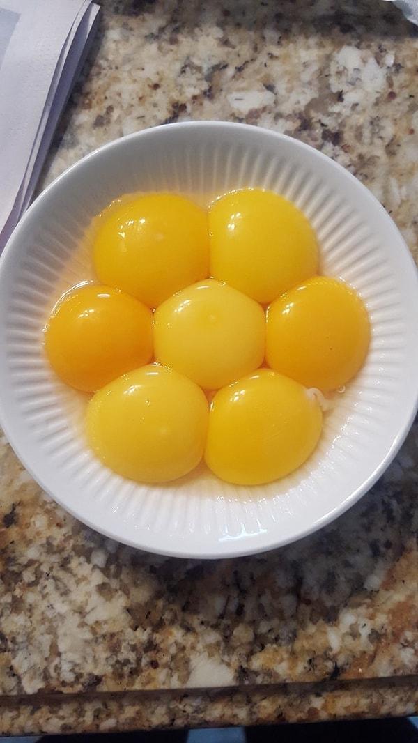7. Yumurta sarılarının muhteşemliğinin çiçeksiliği ^^