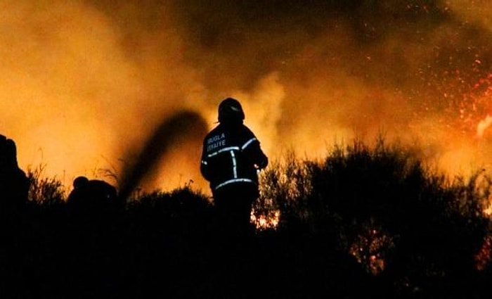 Bodrum'da 10 Hektar Alan Kül Oldu