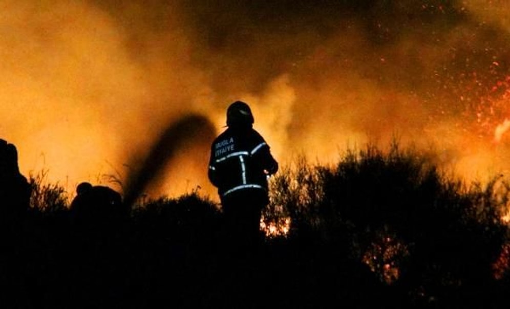 Bodrum'da 10 Hektar Alan Kül Oldu