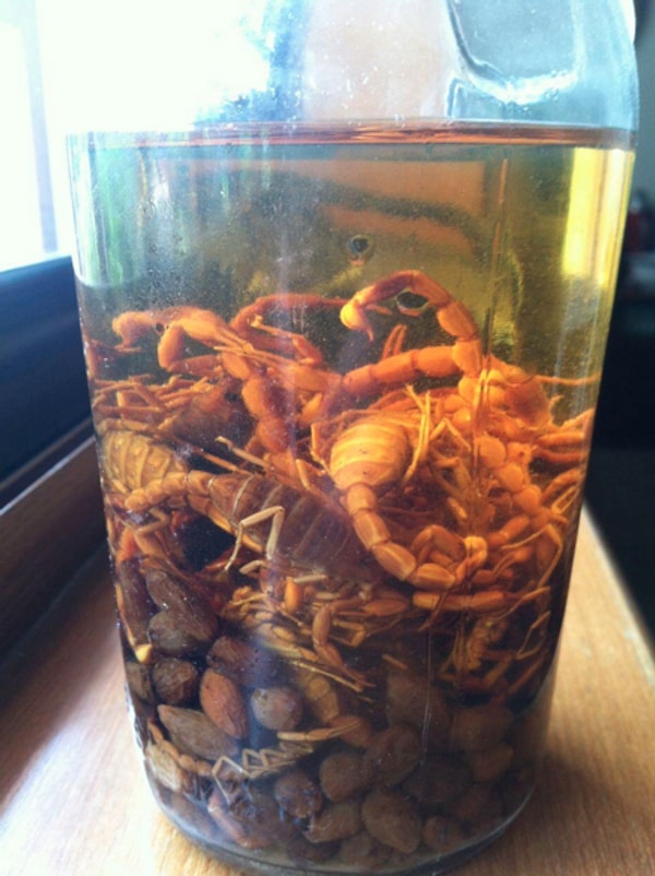 14. Вино… со скорпионами. Или наоборот?