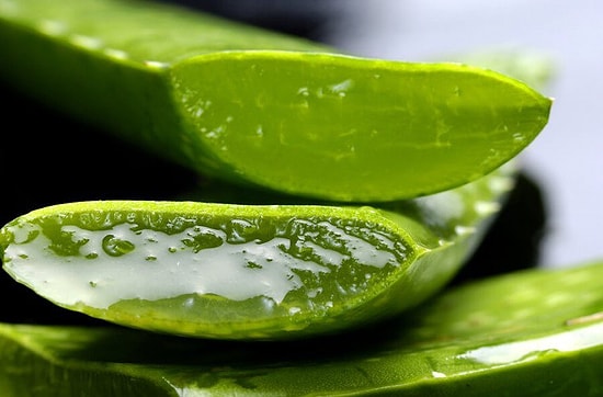 Mısırlıların "Ölümsüzlüğün Bitkisi" Dediği Aloe Vera'nın Vücudumuzdaki 11 İnanılmaz Etkisi