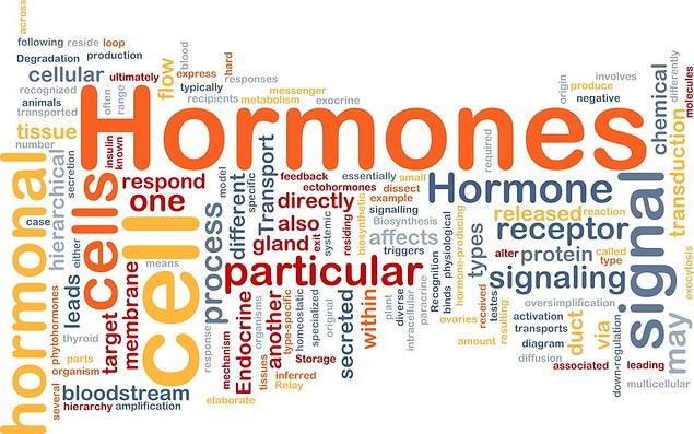 19. Hormones