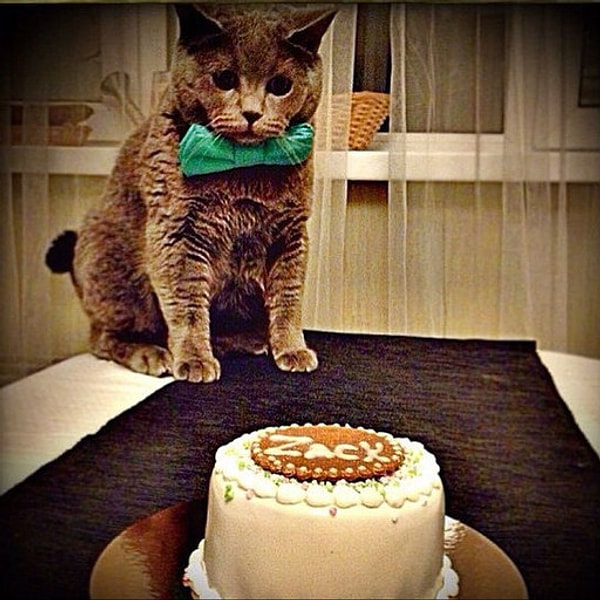 6. Его кондитерские есть уже в Москве, Санкт- Петербурге, Ярославле и Казани.