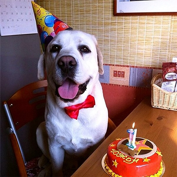 6. Его кондитерские есть уже в Москве, Санкт- Петербурге, Ярославле и Казани.