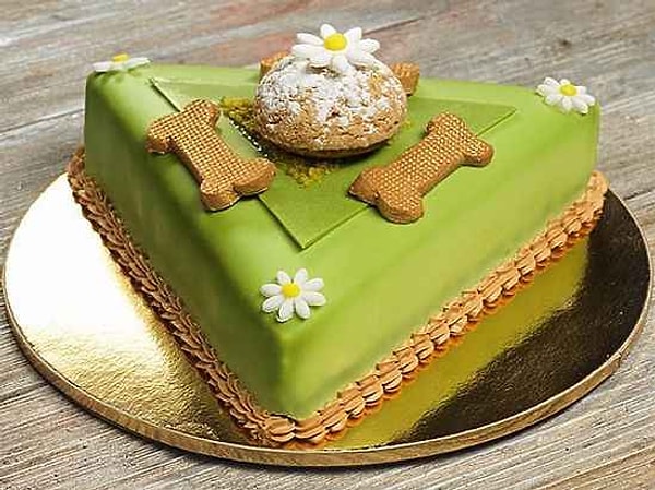 8. К тому же во время "Евровидения" зарубежные журналисты очень интересовались "Пуделем-штруделем".