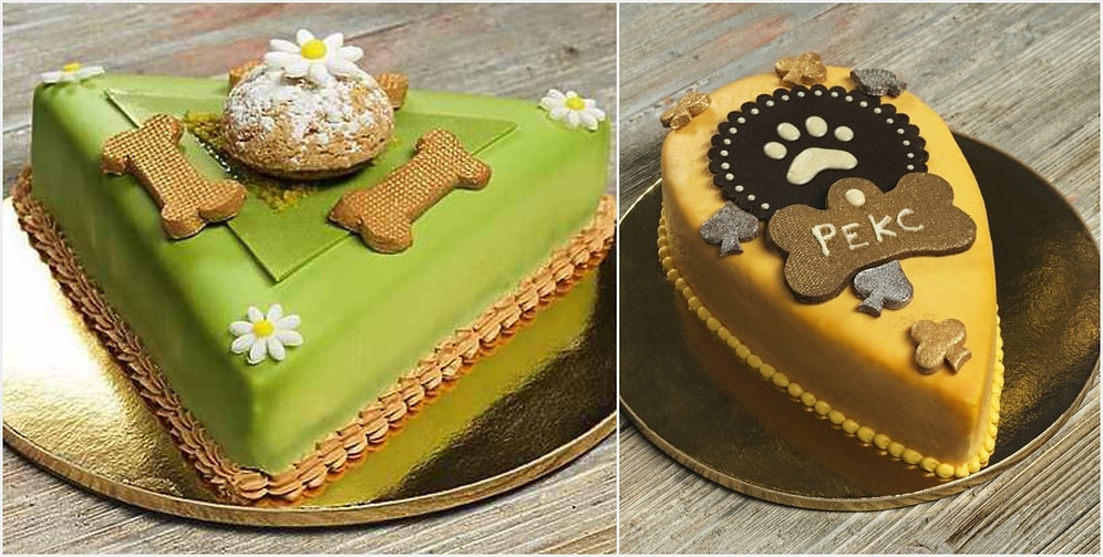 Сергей Лазарев презентовал кондитерскую для домашних питомцев