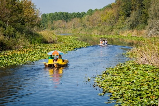 Acarlar Longozu'na 'Sanayi Bölgesi' Yapılacak