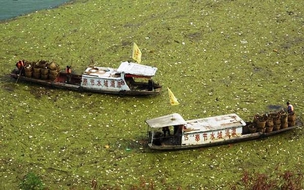 8. Баржи плывут по загрязненной реке Янцзы