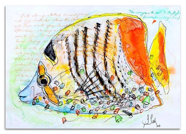 8. "Orange Tailed Butterflyfish"