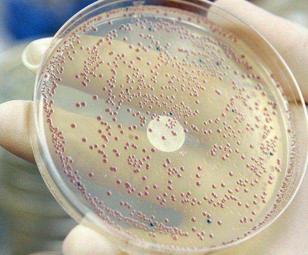 'Mcr-1' geni bakteriyi, en inatçı bakterilere karşı son çare olarak kullanılan 'kolistin' isimli antibiyotiğe dirençli kılıyor. Bu da, bu bakteriyi öldürebilecek hiçbir ilacımızın olmadığı anlamına geliyor.