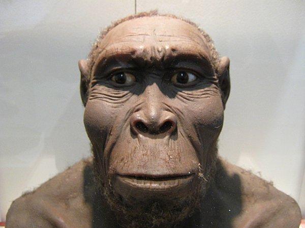 15. Kişilerarası şiddetin homo türünün eski dönemlerine kadar uzandığı biliniyor. Ulaşılan kanıtlara göre bilinen en eski cinayet, 400,000 yıl kadar öncesine dayanıyor.
