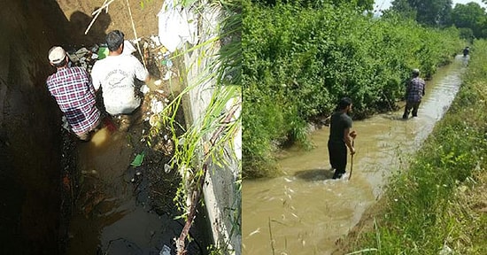 Sakarya Pamukova'da Kaybolan 3 Yaşındaki Ecrin'i Arama Çalışmaları Sürüyor