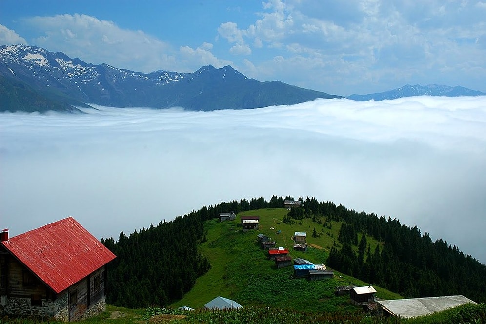 Türkiye’nin Çevre Performansı: 180 Ülke Arasında 177’inci Sıradayız...