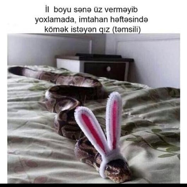 6.
