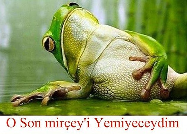 8.