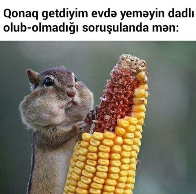 10.