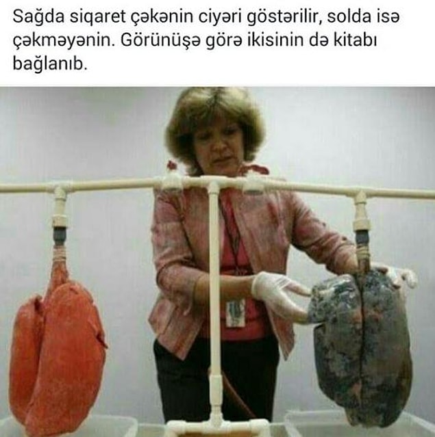 24.