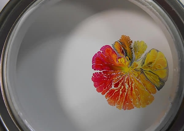 9. Засохшая краска