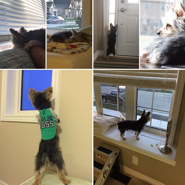 4. Они постоянно шпионят за людьми, выбирая секретные объекты в качестве пункта наблюдения