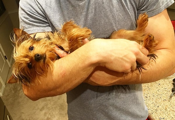 5. Они НИКОГДА не оставляют вас в одиночестве! Хуже того, если они видят, что вам грустно и вы хотите, чтобы вас оставили в покое, они из сил выбьются, чтобы показать вам свою любовь и заботу