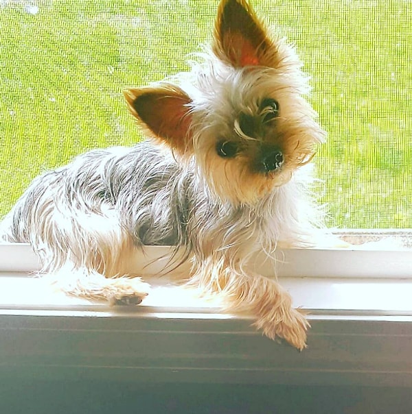 12. Они ничего не понимают