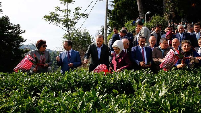 CHP'den Başkanlar İçin Yargıtay ve Danıştay'a Başvuru