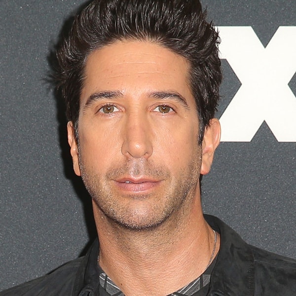 15. David Schwimmer (Ross Geller)