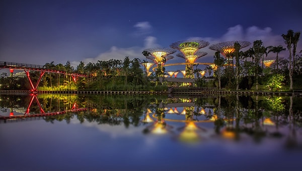 Ботанические Сады, Сады у залива и джунгли Пулау-Убин