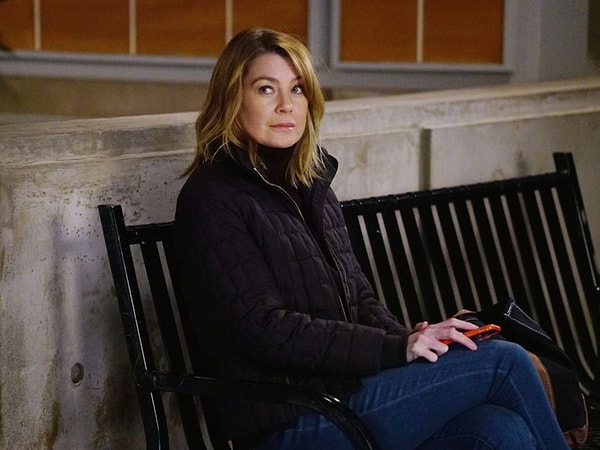 7. Анатомия страсти, 13 сезон