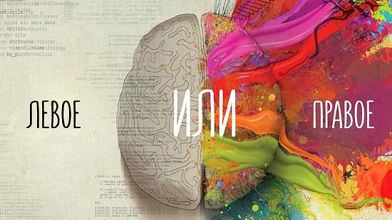 Узнай, какое у тебя доминирующее полушарие мозга