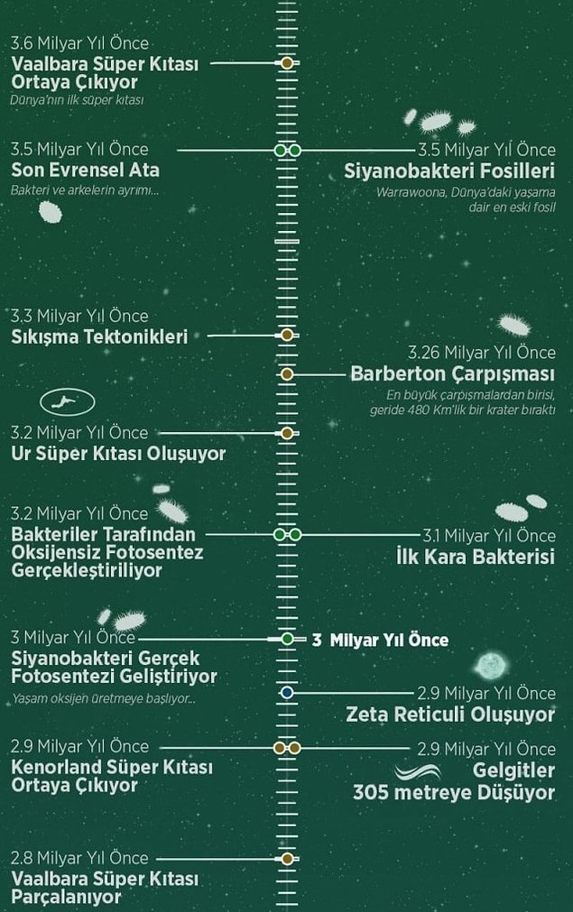 7.