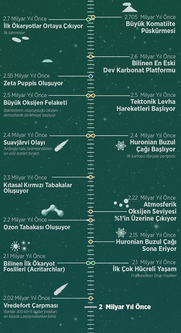 8.
