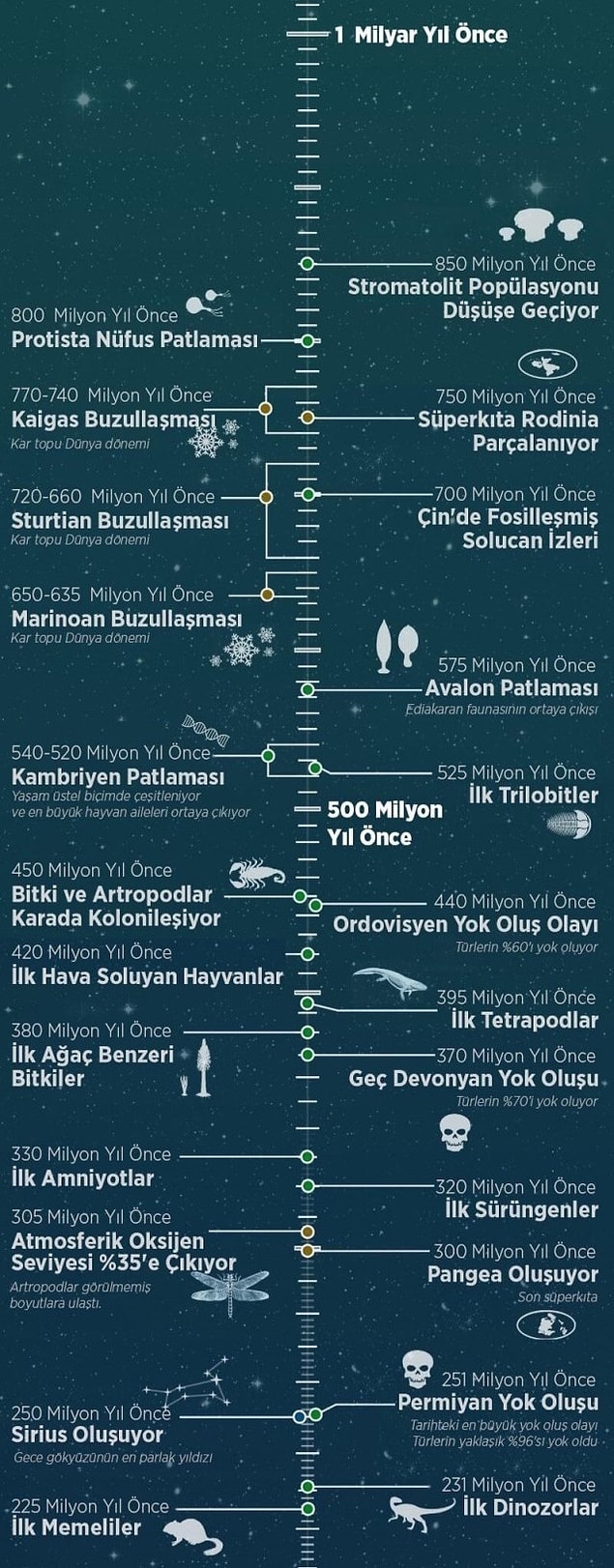 10.