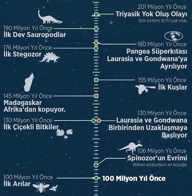 11.