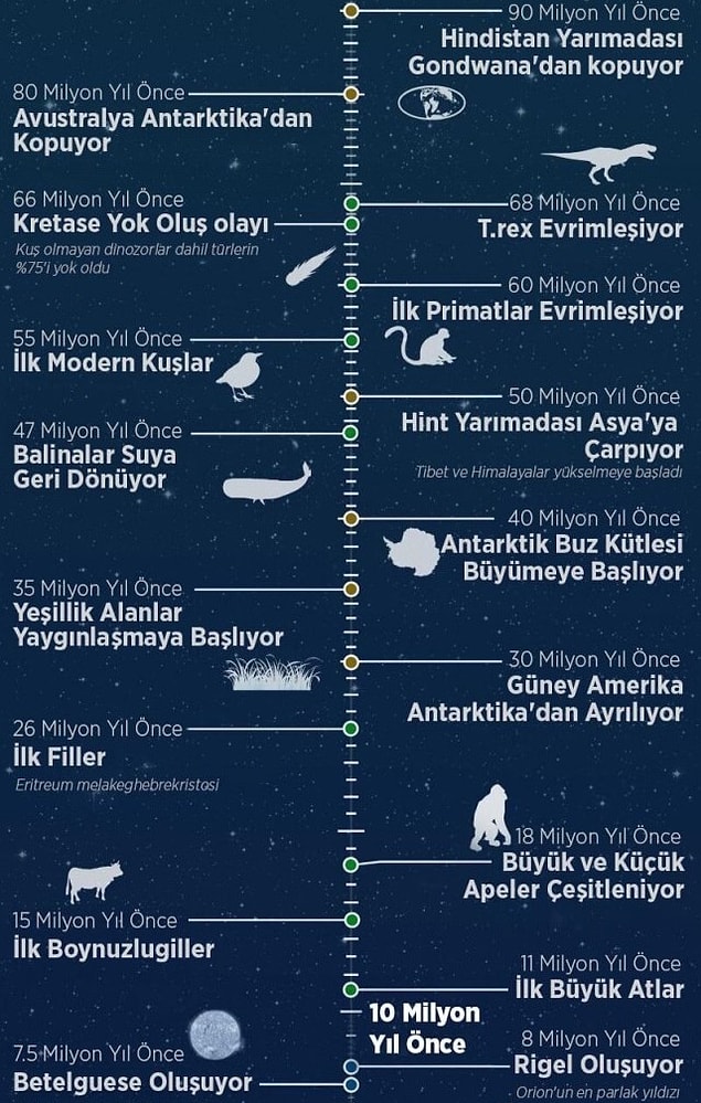 12.