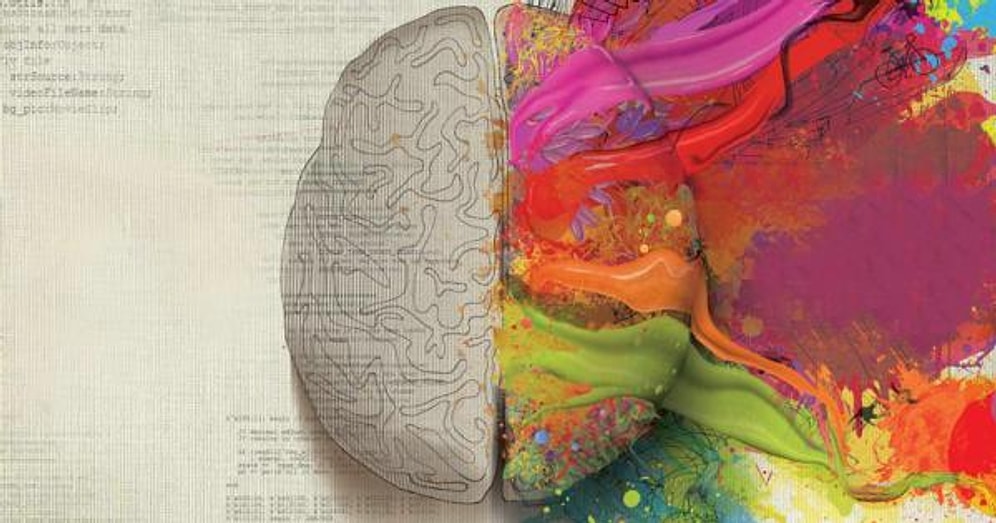 Filozoflar ve Bilim İnsanları Açıklıyor: Beynimiz Gerçekten İki Ayrı Beyin mi?