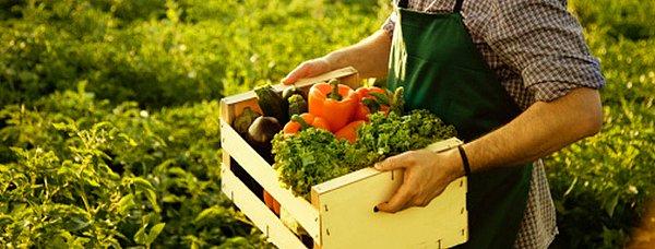 Organik olmayan besinlerin tüketici sağlığına etkileri tartışılmaya devam ederken tarım işçileri üzerinde bu etkiler çok daha net olarak görülüyor
