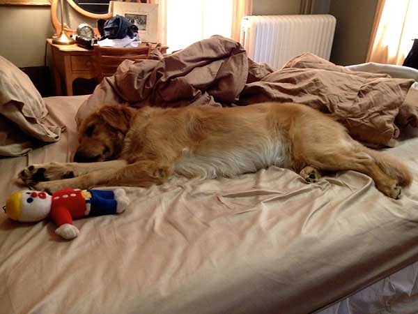 3. Только не на постель! Только не на постель! Так я тебя и послушал, ага)