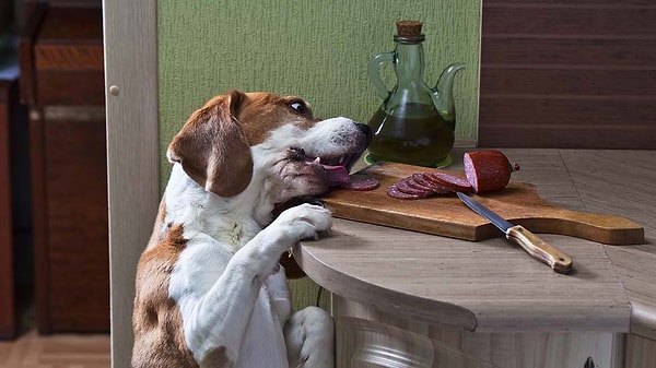 7. Нарезал и бросил. Вот я и подумал, что ты больше не хочешь.